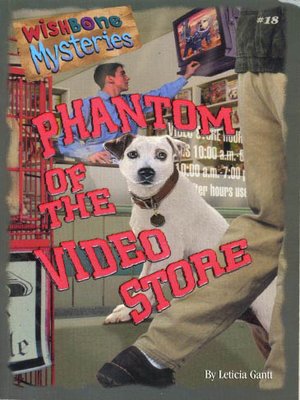 cover image of The Phantom of the Video Store